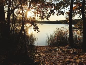 Scenic view of lake in forest against sky