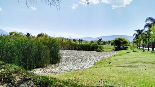 View of pond against sky