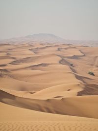 Desert view landscape 