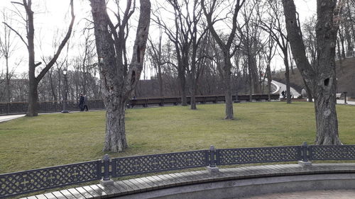 Bare trees in park against sky