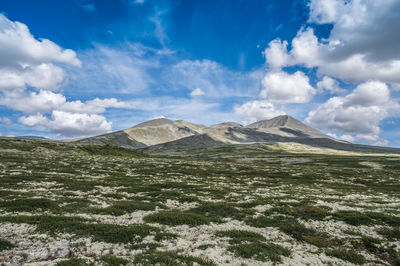 Mountain range at peer gynt hytta, rondane nationalpark, høvringen