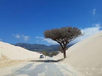 Trees on snow covered mountain against cloudy sky