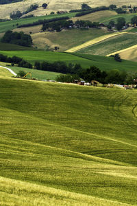 Scenic view of agricultural field