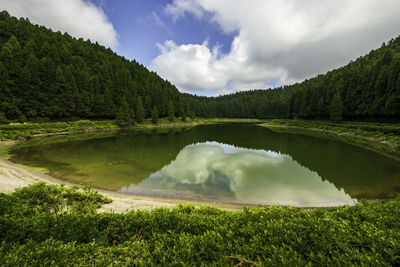 Scenic view of lake by trees against sky