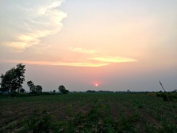 Scenic view of field against sky during sunset