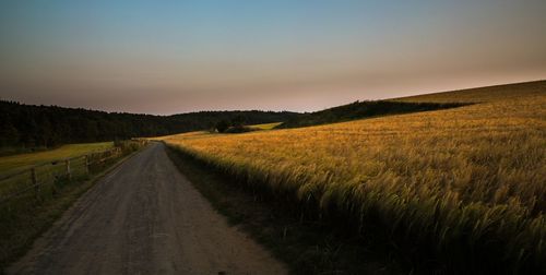 Dirt road passing through field