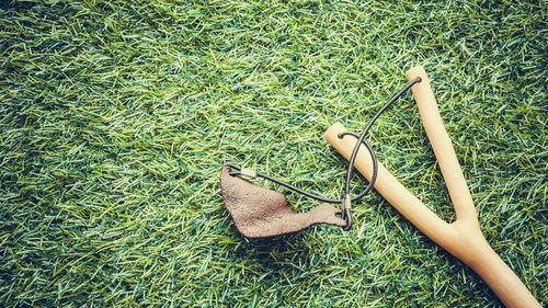 High angle view of grass on field