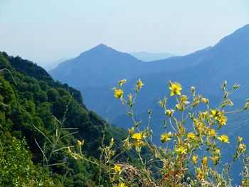 Scenic view of mountains