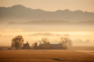 Scenic view of field against sky during sunset