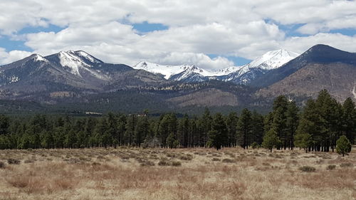 Scenic view of landscape against sky