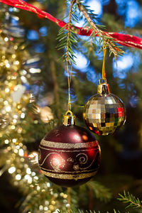 Two old fashioned baubles hanging in the traditional christmas tree. the tree is a real spruce.