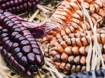 Close-up of roasted for sale at market