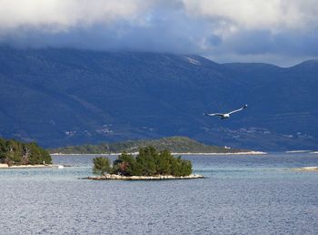 Seagulls flying over sea against sky