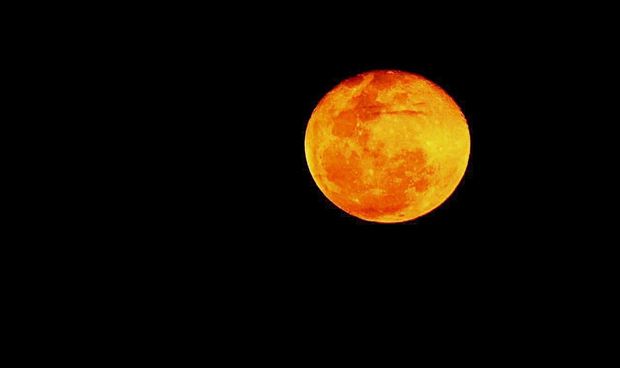 LOW ANGLE VIEW OF MOON IN SKY AT NIGHT