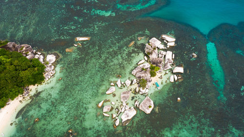 High angle view of people swimming in sea