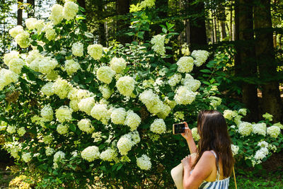 Woman holding flower tree, smelling flowers.