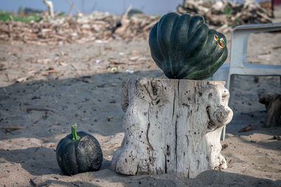 Stone sculpture on field