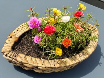 floristry