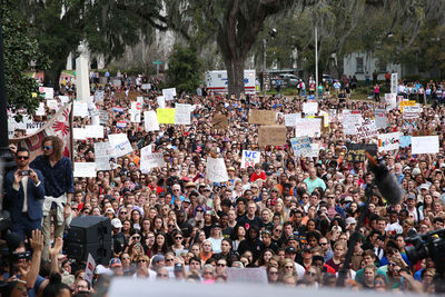 Crowd on tree