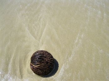 High angle view of sand