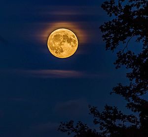 Low angle view of full moon against sky at night