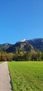 Scenic view of field against clear sky