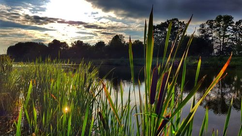 Scenic view of lake against sky during sunset