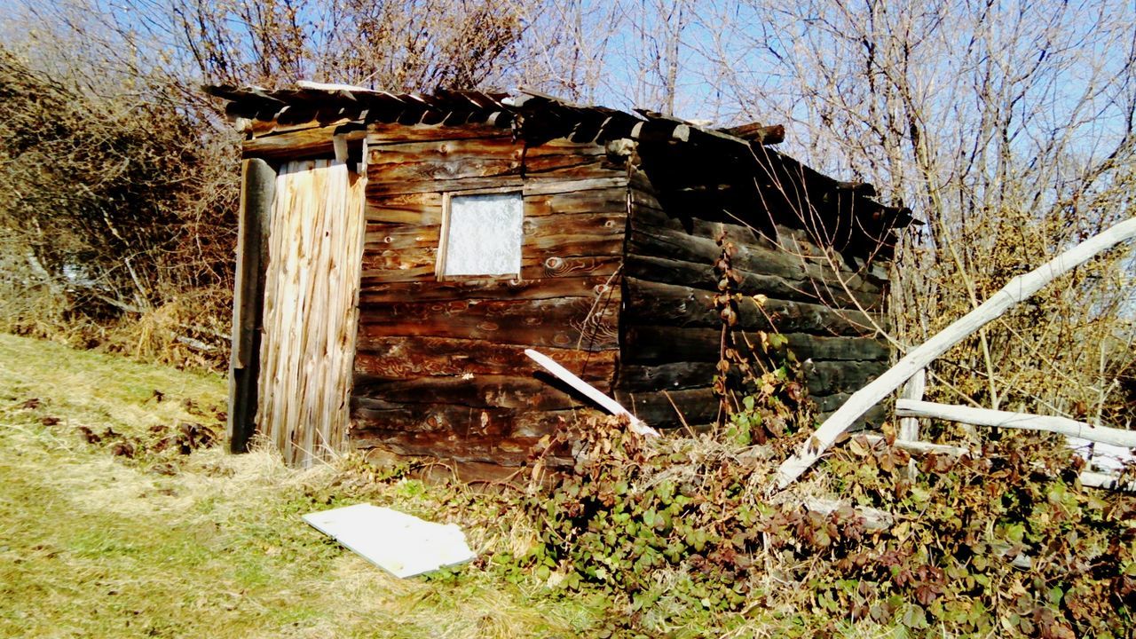 abandoned, architecture, built structure, building exterior, house, damaged, obsolete, run-down, old, deterioration, bad condition, weathered, plant, window, wood - material, grass, tree, broken, residential structure, destruction