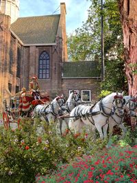 Man sitting outside building on horse cart