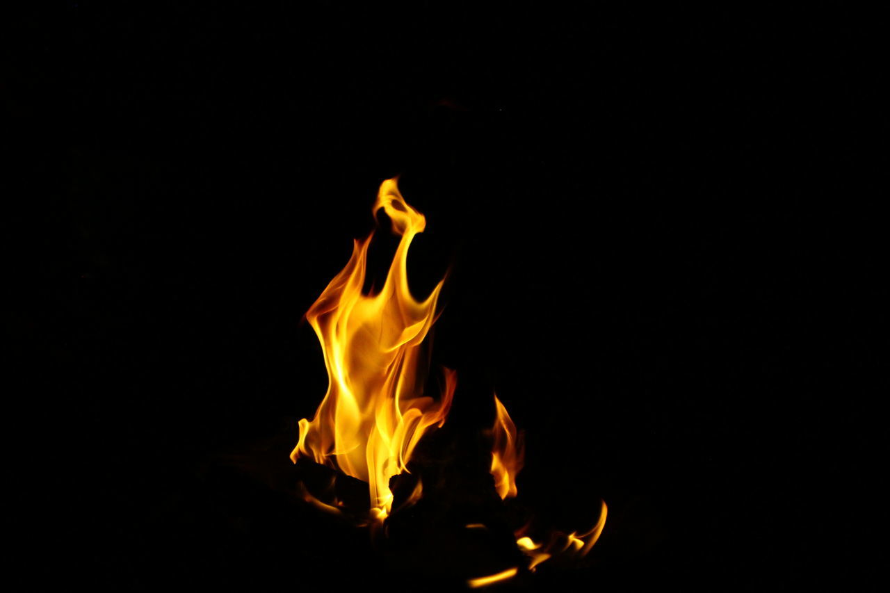 burning, fire, flame, heat, black background, darkness, nature, yellow, no people, motion, studio shot, campfire, glowing, night, orange color, copy space, fireplace, close-up, black, light