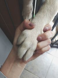 Close-up of man holding hands