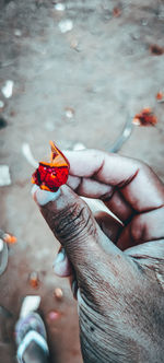 High angle view of hand holding leaf