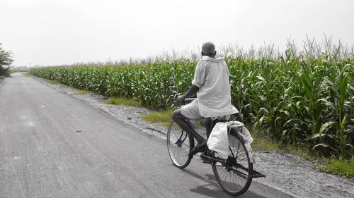 People walking on road in field
