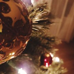 Close-up of christmas tree at night