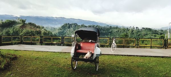 Horse cart on landscape against sky