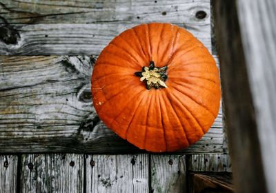 Close-up of pumpkin on wood during autumn