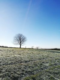 Low angle view of clear sky