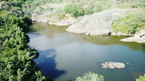 Scenic view of river with trees in background
