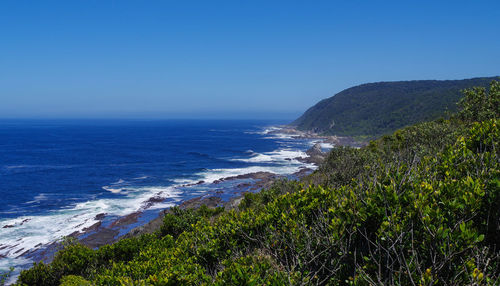 South atlantic coast at tsitsikamma national park south africa