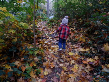 Rear view of man walking on autumn leaves