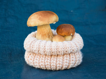 Close-up of mushrooms