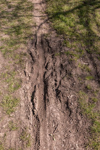 Full frame shot of mud on field