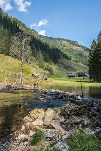 View of stream along landscape