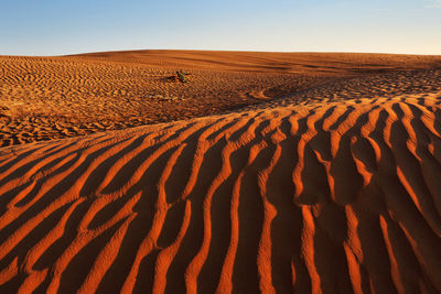 Scenic view of desert