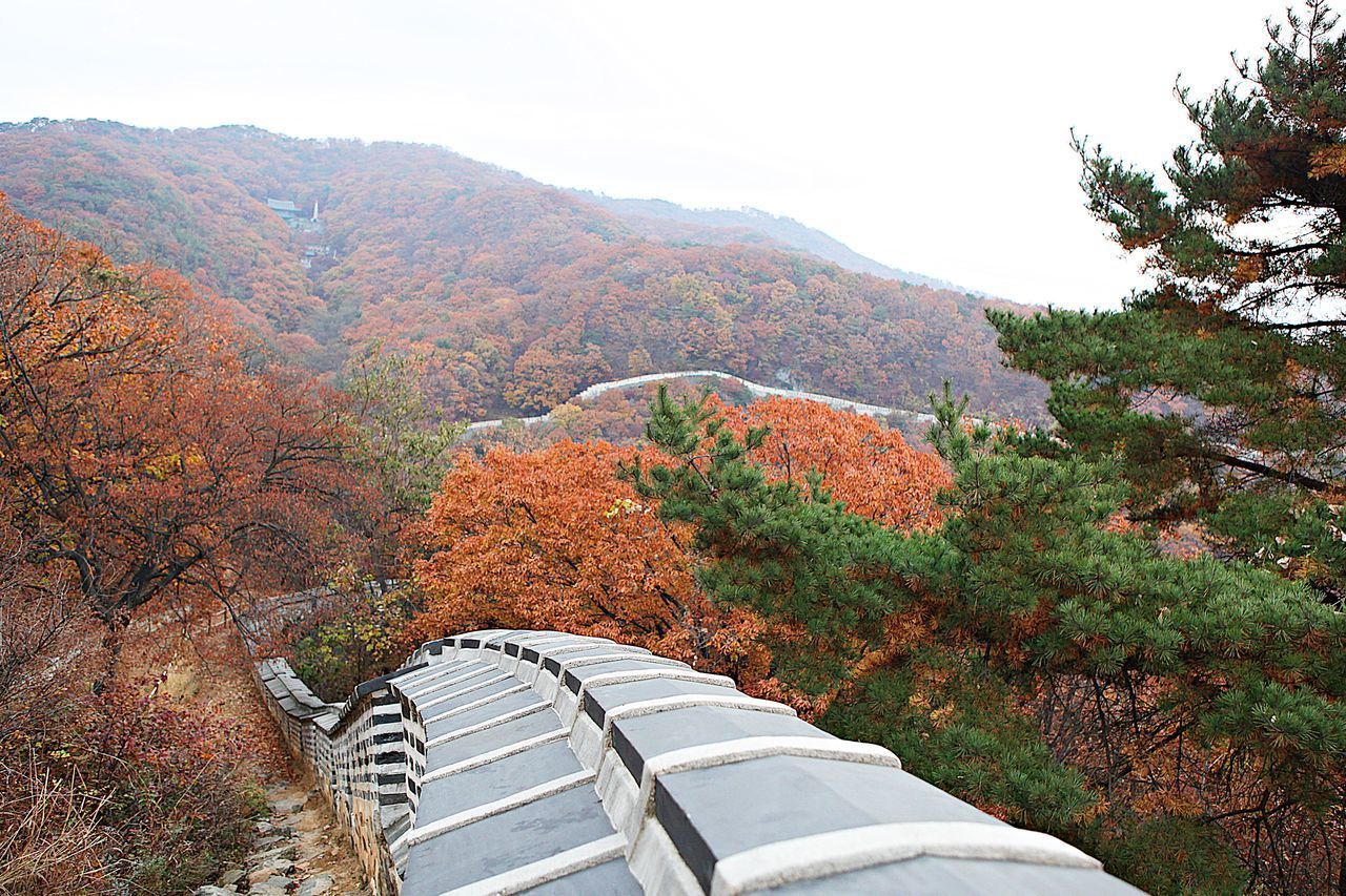 SCENIC VIEW OF MOUNTAIN DURING AUTUMN