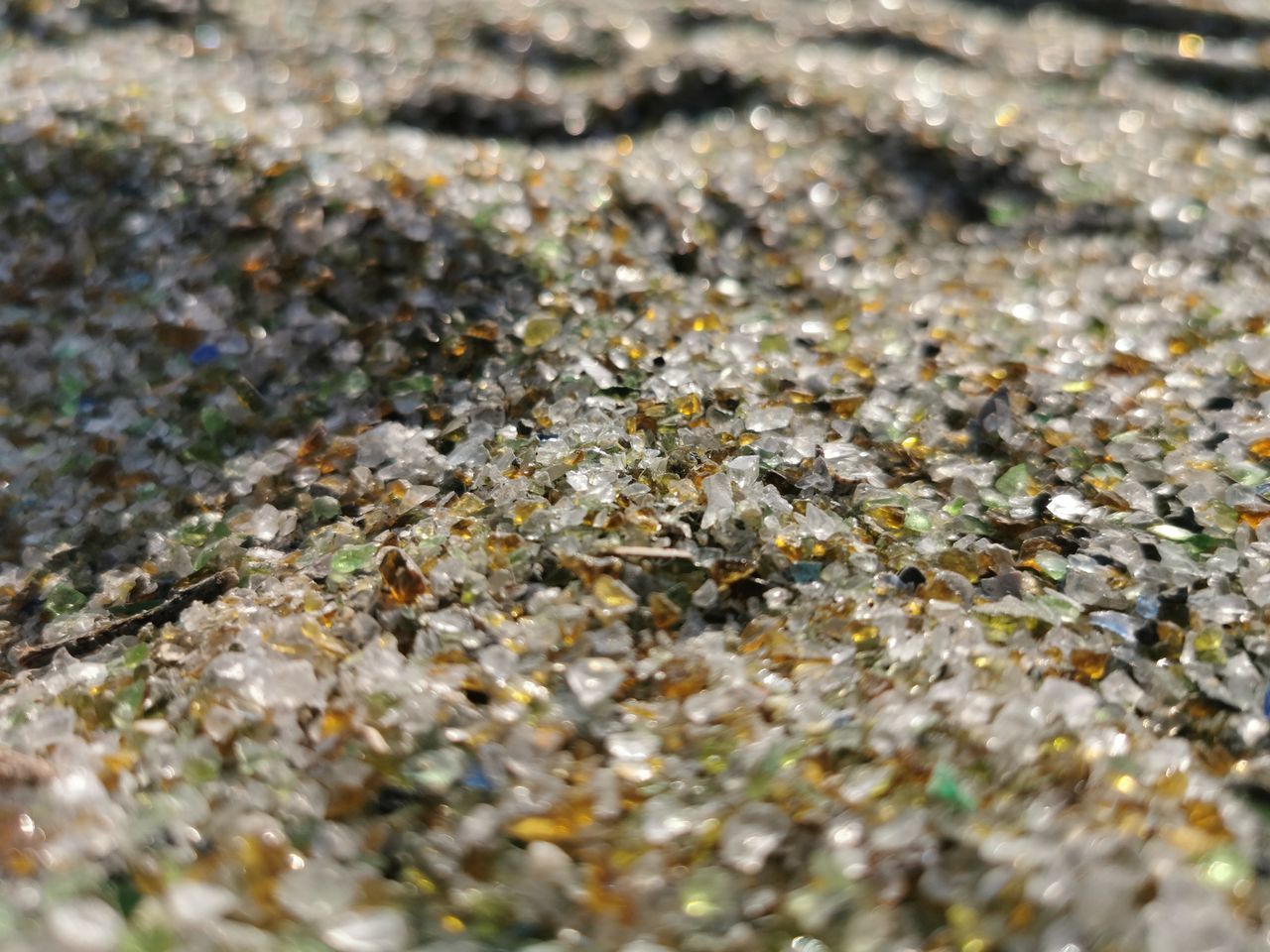 HIGH ANGLE VIEW OF LICHEN ON ROCKS