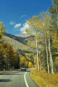 Road by trees against sky during autumn