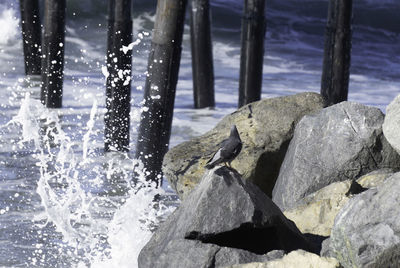 Close-up of water splashing on rocks at shore