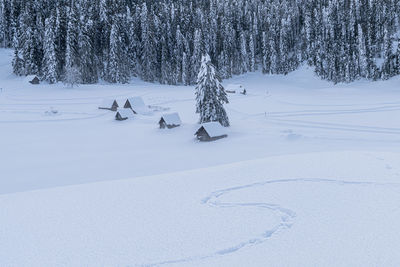 Scenic view of snow covered field