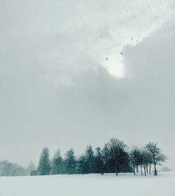 Trees on snow field against sky